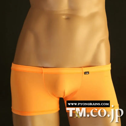 Men's Transparent Mesh Boxer Shorts - Comfort and Seduction