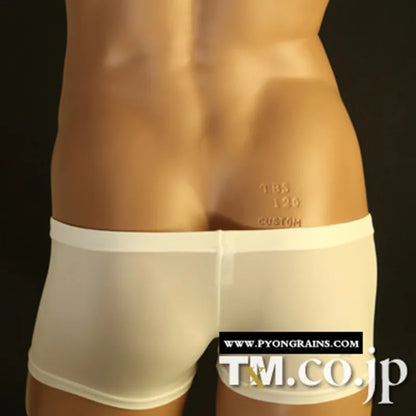 Men's Transparent Mesh Boxer Shorts - Comfort and Seduction